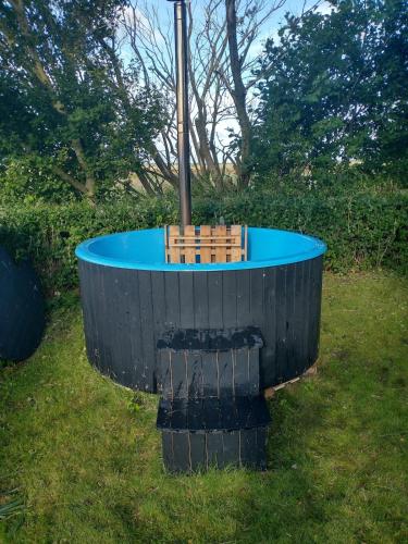 a blue pool in the grass with benches around it at Apartment with water views in Fjerritslev