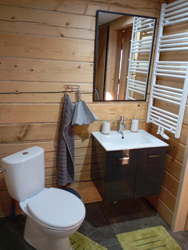 a bathroom with a toilet and a sink and a mirror at Apartament Szumi las in Białowieża