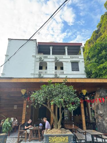 a white building with a tree in front of it at Cao Thạch Homestay in Ninh Binh