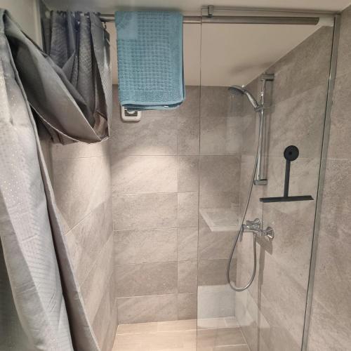 une salle de bain avec une douche avec une porte vitrée dans l'établissement Tivat Cocoon Studio, à Tivat