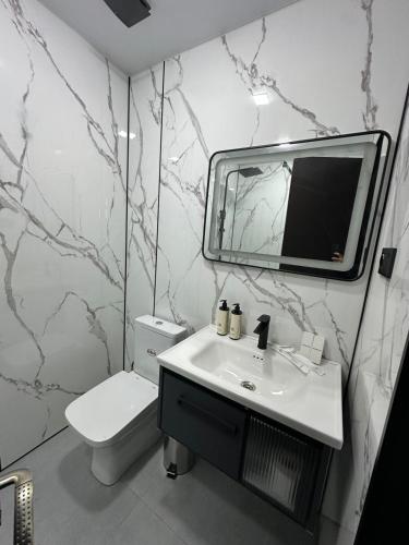 a bathroom with a sink and a toilet and a mirror at Rustaveli Inn რუსთაველი ინნ in Rustavi