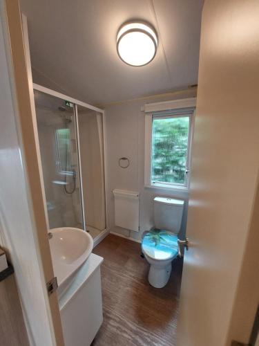MariënbergにあるPallegarste 74 met uitzicht op speeltuinのトイレと洗面台付きのバスルーム