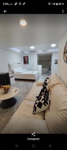 Μια τηλεόραση ή/και κέντρο ψυχαγωγίας στο Hotel Carrizal Suites