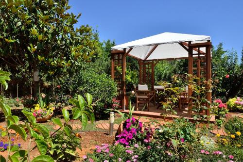 Un jardín fuera de Stamatakis Boutique Studios
