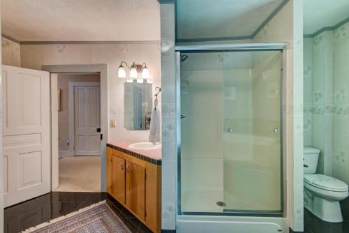 a bathroom with a shower and a toilet and a sink at Historic McGuire House in Todd