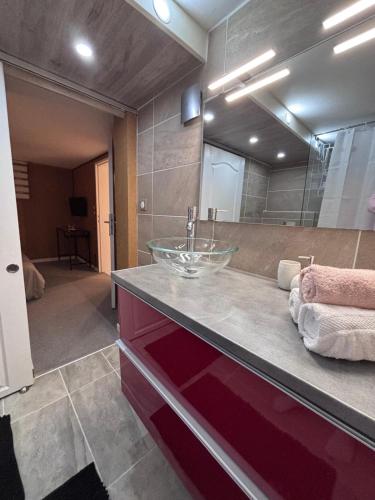 a bathroom with a sink and a large mirror at appartement en sous sol in Wittelsheim