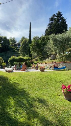 Zahrada ubytování villa camelie