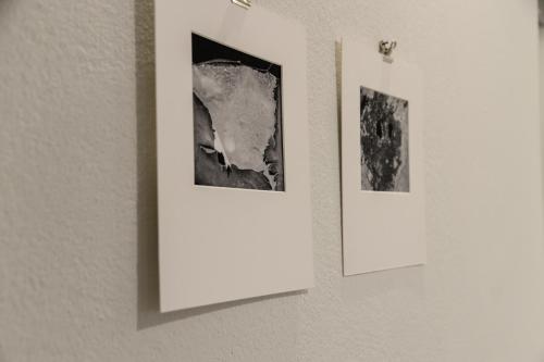 three photographs hanging on a wall at Piano Tre in Verona