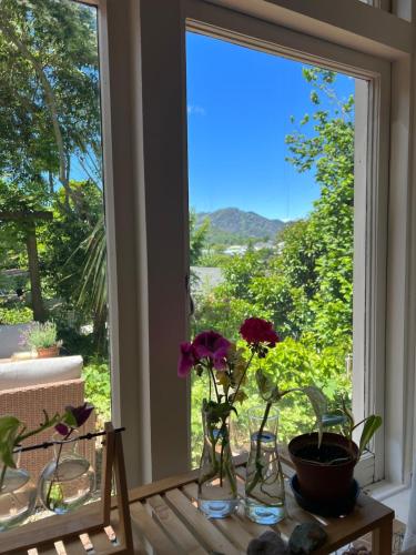 a window with vases with flowers on a table at amelie, urban retreat awaits in Nelson