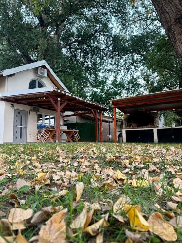 a house with a pile of leaves in front of it at Dadula na Dunavu in Kovin