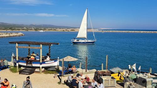 a group of people watching a boat in the water at Maison Lagune bleu in Gruissan