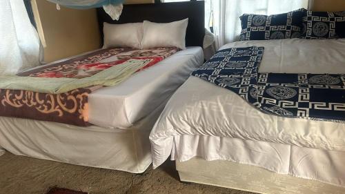 two beds sitting next to each other in a room at Dewclaw Baobob Safari Lodge in Mfuwe
