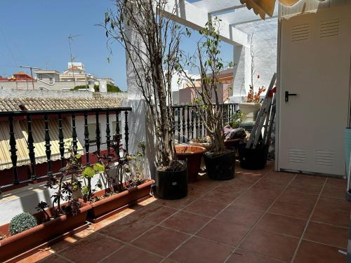 ロタにあるEstudio ático centro Rotaの鉢植えの植物が植えられたバルコニー付きのパティオ