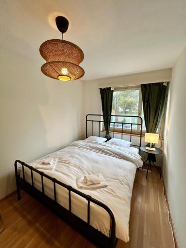 Un pat sau paturi într-o cameră la Apartment with Balcony, 26 min to Zurich Center