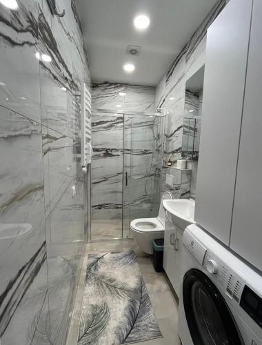 un bagno con lavatrice e WC di Luxury center a Kaunas