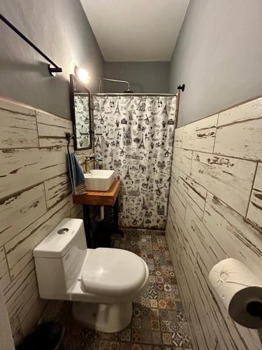 a bathroom with a white toilet and a sink at La Casa De Don Rámon in Guadalajara