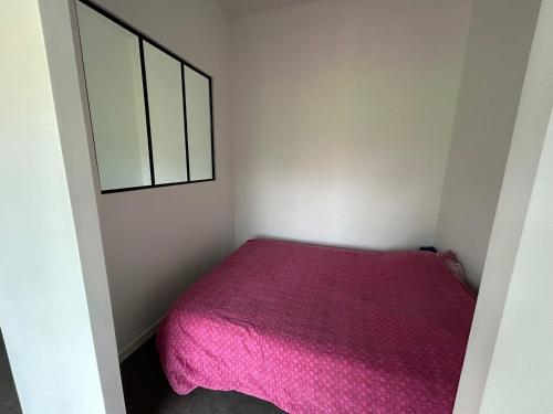a small bedroom with a pink bed and a mirror at Studio Lapalisse chez Pierre et Delphine in Lapalisse