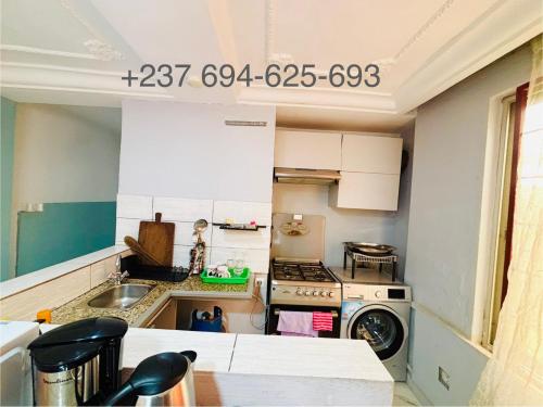 Η κουζίνα ή μικρή κουζίνα στο Studio palais de congrès Eulalie 1