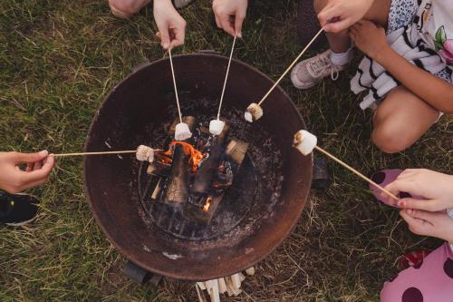 a group of children playing around a grill at Honeysuckle Shepherds Hut at Blean Bees Eco Glamping in Canterbury