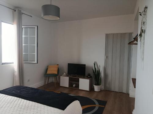 a bedroom with a bed and a tv and a chair at Dhamma Guest House in Ponta Delgada