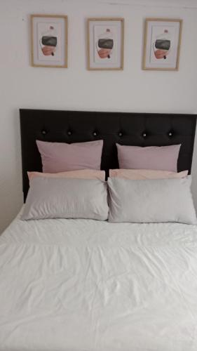 a bed with white sheets and pink pillows at NEMARA Self Catering Lodge in Polokwane
