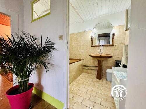a bathroom with a potted plant and a sink at Oustal marcellin in Fanjeaux
