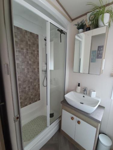 a bathroom with a sink and a shower at 16 Lakeview, Pelham Retreat in Crantock
