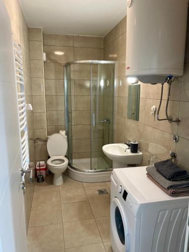 Un baño con ducha, inodoro y lavabo. en Apartman Kalina, en Belgrado