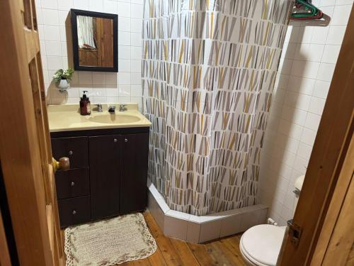 a bathroom with a shower with a sink and a toilet at El Refugio del Pino Cabaña en Subachoque in Subachoque