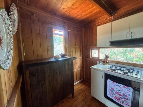 a kitchen with a stove top oven in a cabin at El Refugio del Pino Cabaña en Subachoque in Subachoque