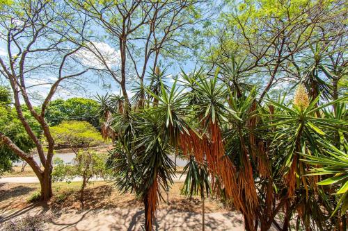 Κήπος έξω από το Hotel em Brasilia 215 Bloco B Asa Norte 64308