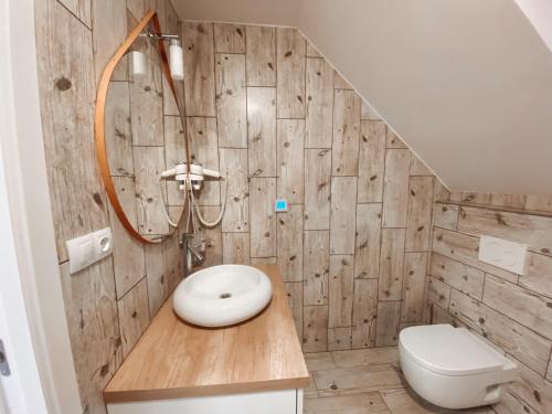 a bathroom with a sink and a toilet at Chalet Dolní Morava in Dolní Morava