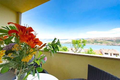 Gallery image of Apartments Lili in Pag