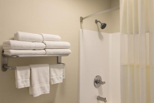 Ένα μπάνιο στο Boarders Inn & Suites by Cobblestone Hotels - Ashland City