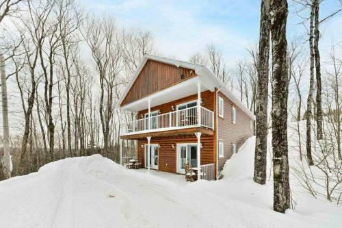 eine Blockhütte im Wald im Schnee in der Unterkunft Domaine Des Montagnais - Suite Astro 1 in Notre-Dame-Des-Bois