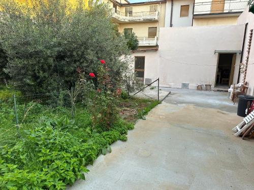 a garden with red flowers and a bush next to a building at Casa Rosa in Brancaleone Marina
