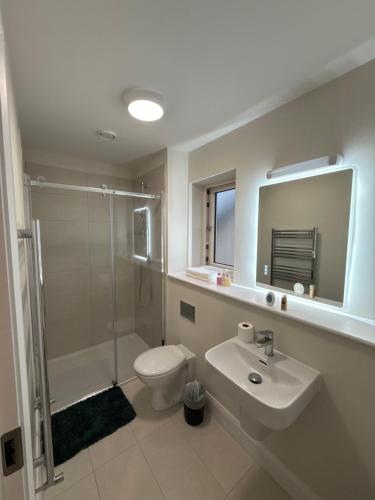 a bathroom with a toilet and a sink and a shower at Birch view getaway in Dunshaughlin