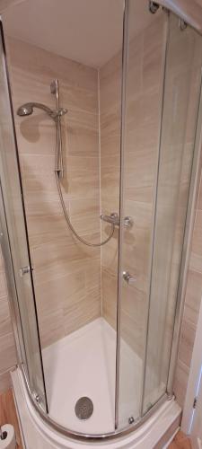 une douche avec une cabine en verre dans une salle de bain dans l'établissement Wren Cottage, à Hindhead