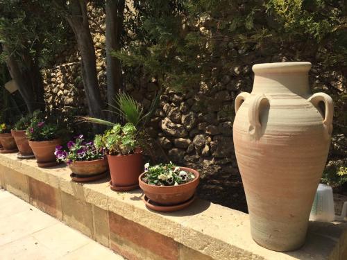 a row of potted plants sitting on a wall at Dar tal-Kaptan Boutique Maison in Għasri