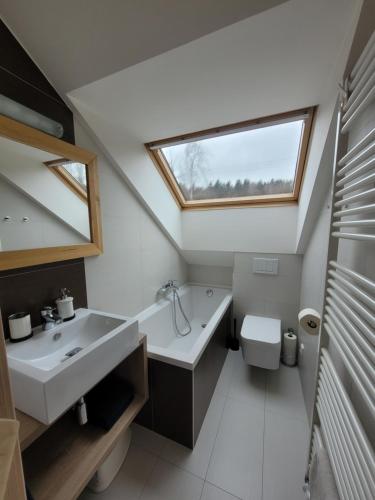 a bathroom with a sink and a toilet and a window at Apartmány Stachy Churáňov in Stachy