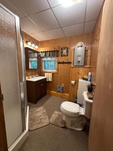 a bathroom with a toilet and a sink at Augur Lake Cabin Escape in Au Sable Forks