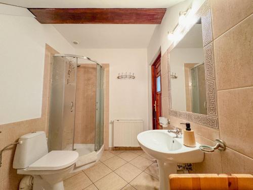 a bathroom with a sink and a shower and a toilet at Pod Kogutem in Cierzpięty