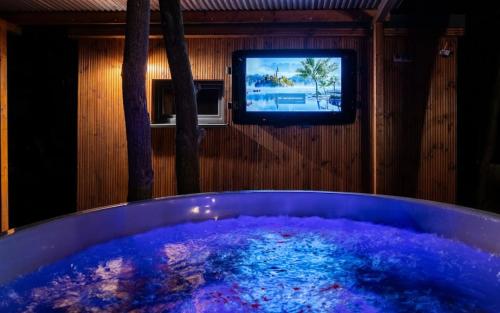 a bath tub with a tv in a room at Houseboat Pałuki in Sobiejuchy