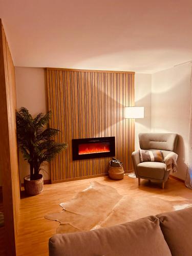 a living room with a couch and a chair and a fireplace at Loft Cosy sur le Lac in Bouveret
