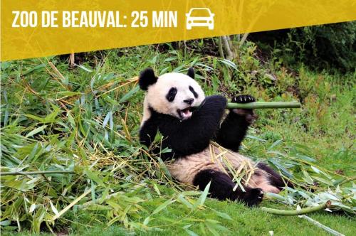 a panda bear sitting in the grass holding a stick at Le Cavernacle in Montrichard