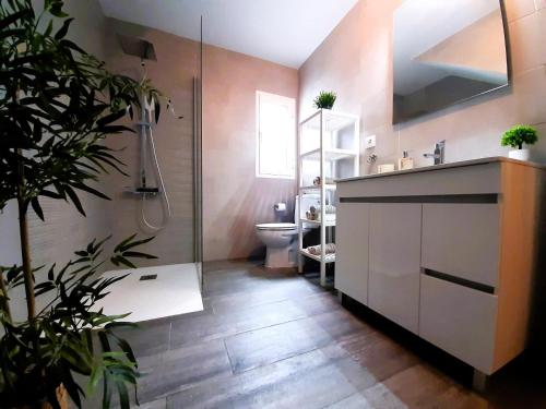 a bathroom with a shower and a sink and a toilet at Casa Rural Arrebol - Barbacoa y piscina in Aracena