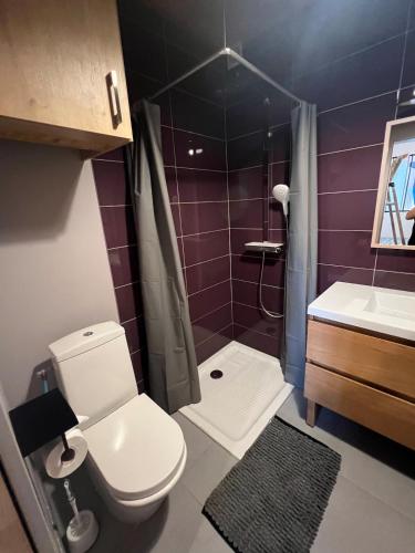 een badkamer met een toilet, een wastafel en een douche bij Studio centre ville in Bourgoin