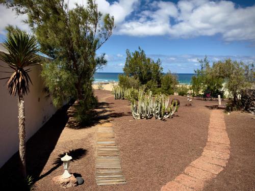 ein Weg mit Kakteen und einer Palme an einem Strand in der Unterkunft Apartamento vintage en Playa Famara in Famara