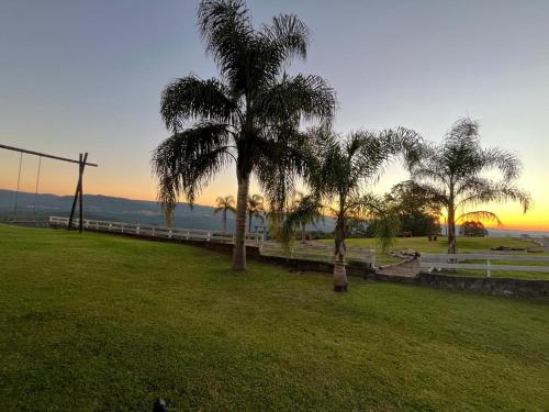 a group of palm trees in a field with the ocean at Residencial Encantos Linha Bonita - Vista que acalma, ambiente que encanta! in Gramado