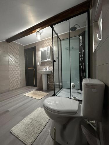 a bathroom with a toilet and a glass shower at Casa Dumitru si Elena Ciocanesti Bucovina in Ciocăneşti